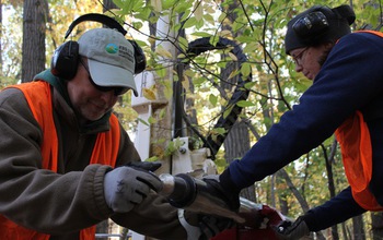 Scientists with equipment working in a forest